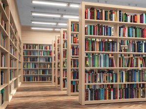 Bibliothek, Foto: Adobe Stock/Maksym Yemelyanov Bibliothek